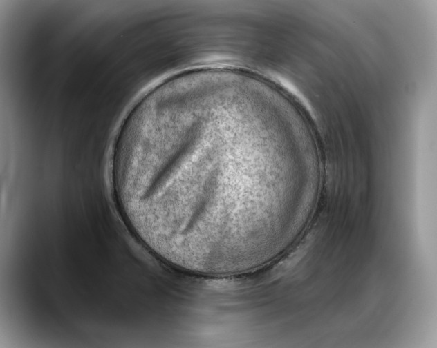 X0000088411421200706121406