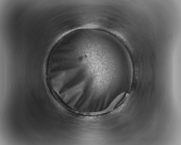 X0000088411422200706121406