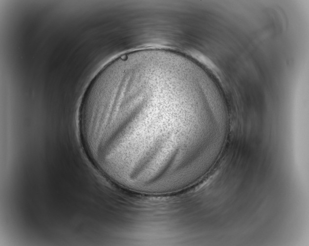 X0000088411423200706121406