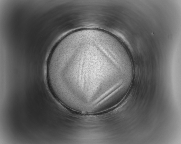 X0000088411424200706121406