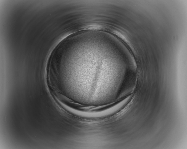 X0000088411426200706121406