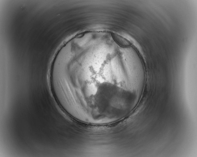 X0000088411429200706121406