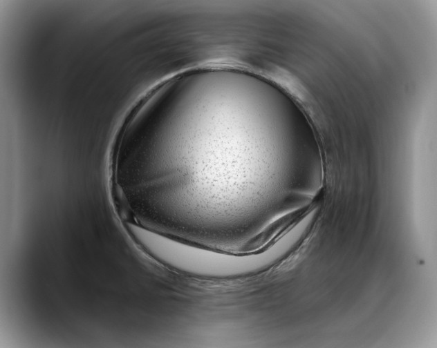 X0000088411430200706121406