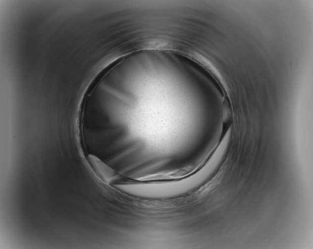 X0000088411434200706121406