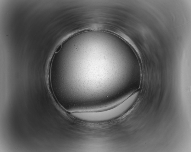 X0000088411437200706121406