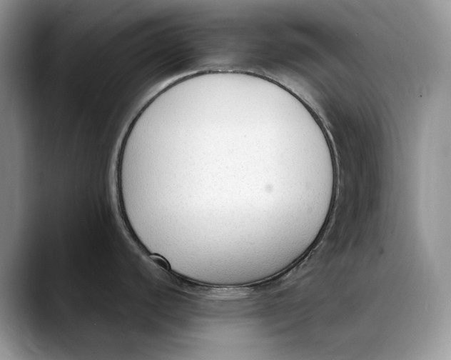 X0000088411440200706121406