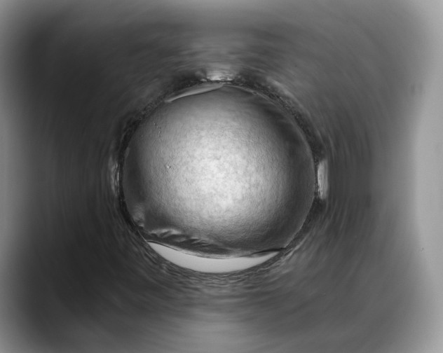 X0000088411443200706121406