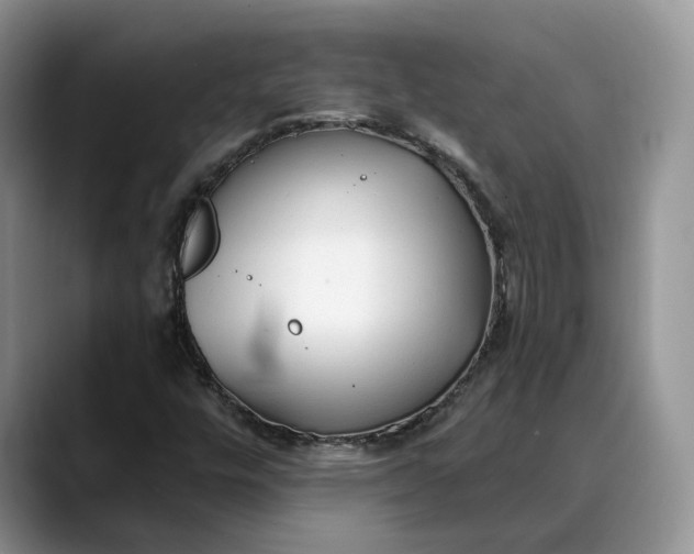 X0000088411448200706121406