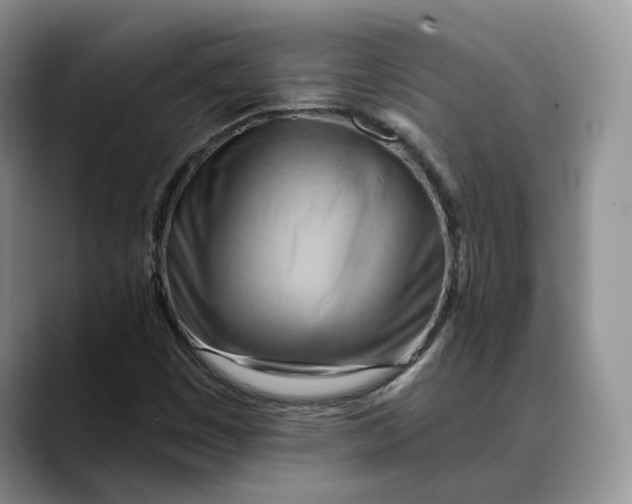 X0000088411449200706121406