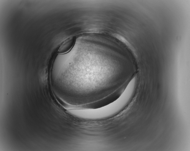 X0000088411450200706121406