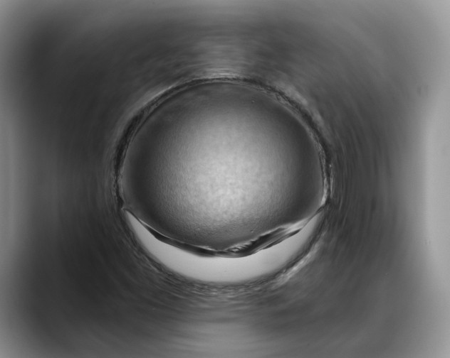 X0000088411453200706121405