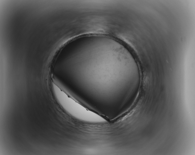 X0000088411455200706121405