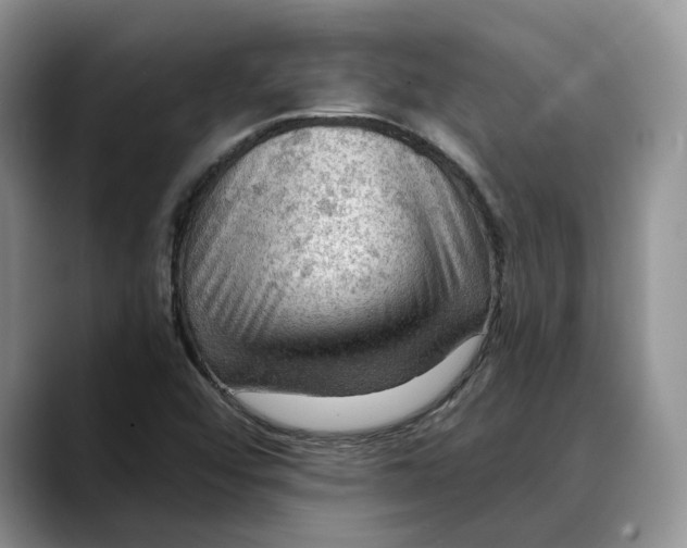 X0000088411456200706121405