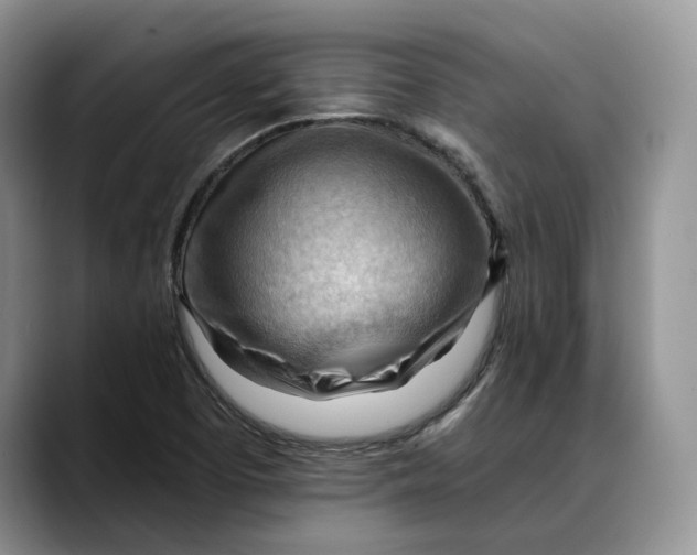 X0000088411457200706121405