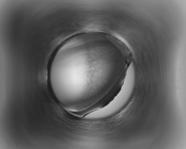 X0000088411461200706121405