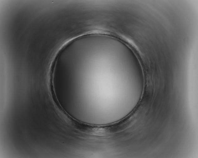 X0000088411463200706121405