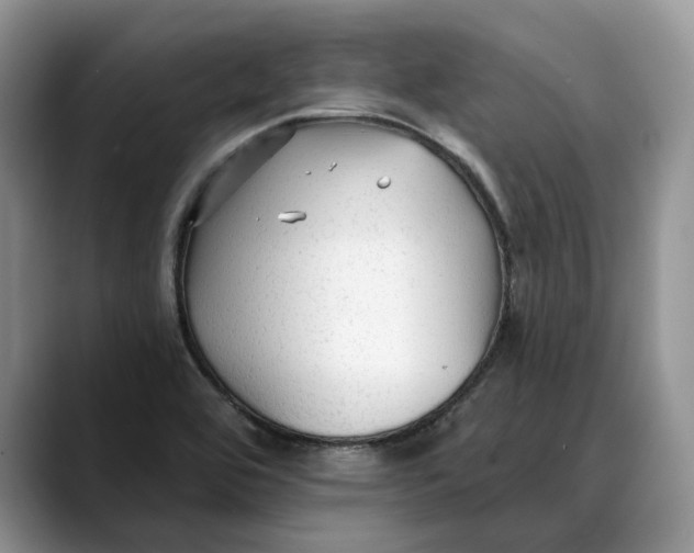 X0000088411464200706121405