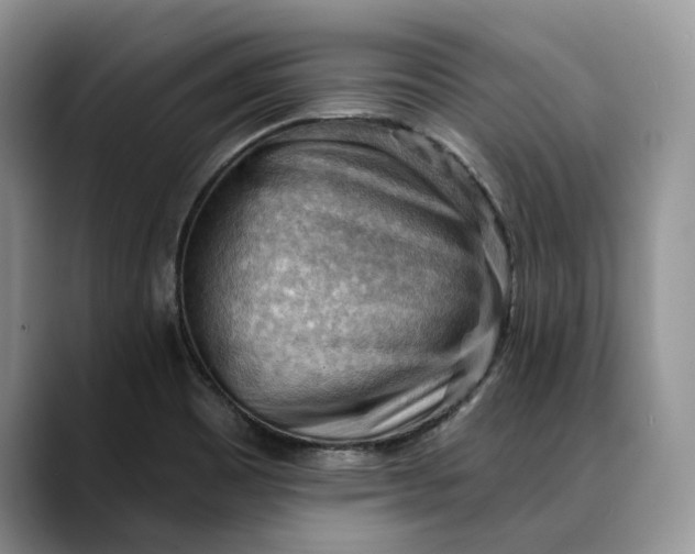 X0000088411465200706121405