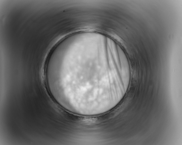 X0000088411466200706121405