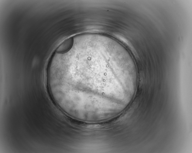 X0000088411467200706121405