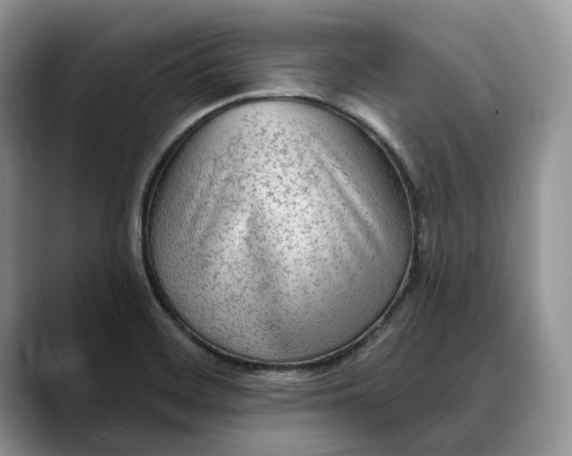 X0000088411468200706121405