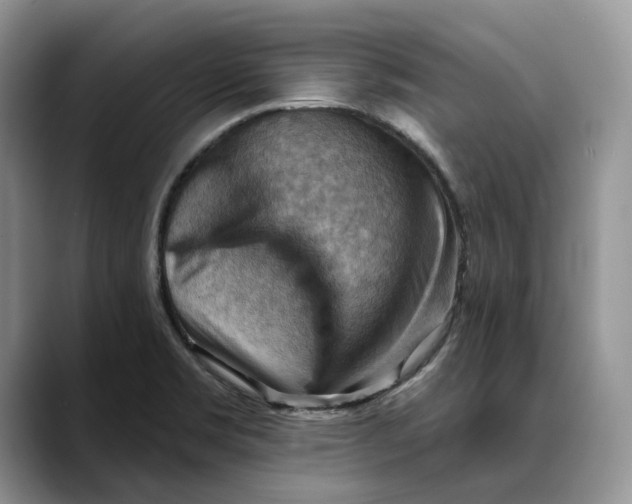 X0000088411469200706121405