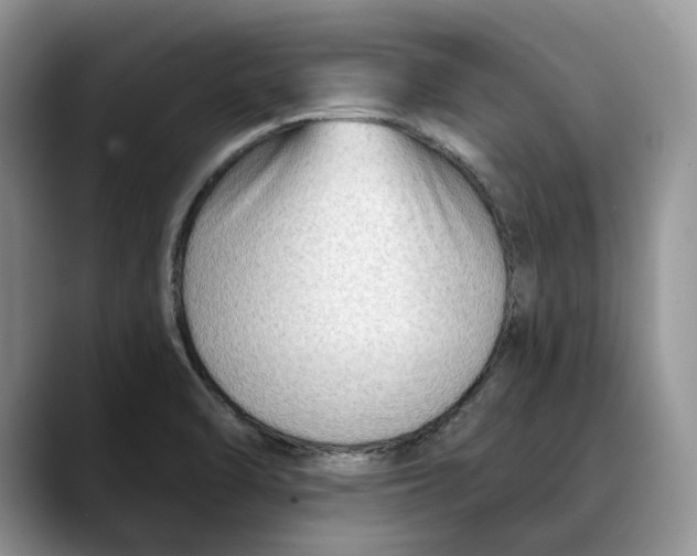 X0000088411470200706121405