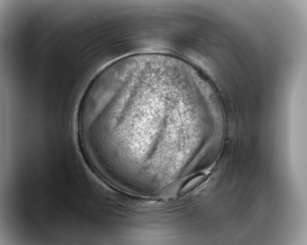 X0000088411471200706121405