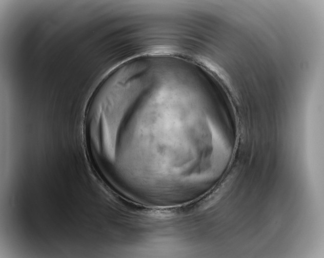 X0000088411473200706121405