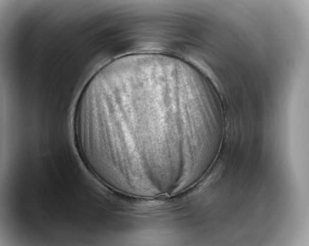 X0000088411475200706121405