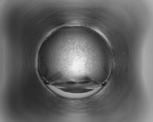 X0000088411477200706121405