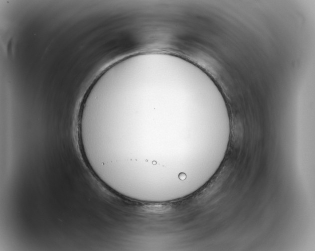 X0000088411478200706121405