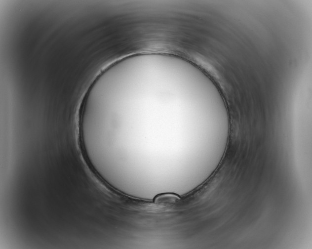 X0000088411479200706121405