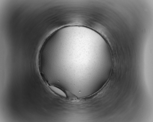 X0000088411480200706121405