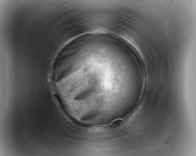 X0000088411481200706121405