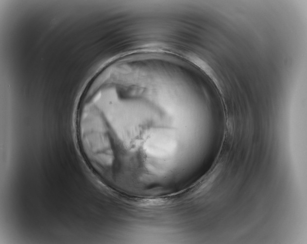 X0000088411482200706121405