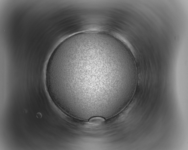 X0000088411483200706121405