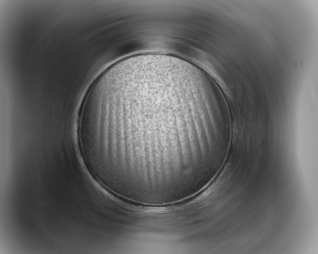 X0000088411484200706121405