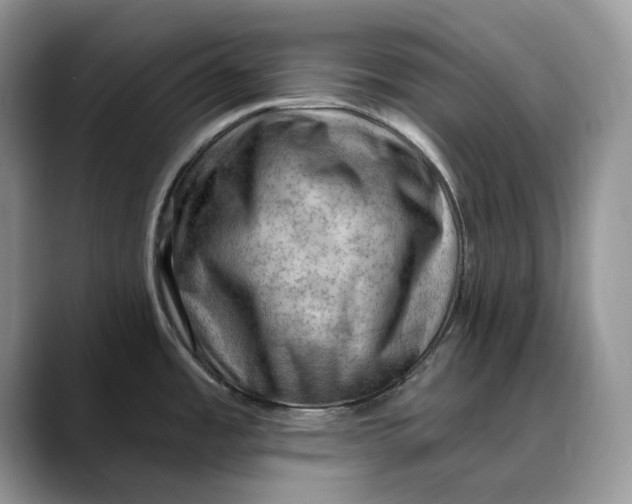 X0000088411485200706121405