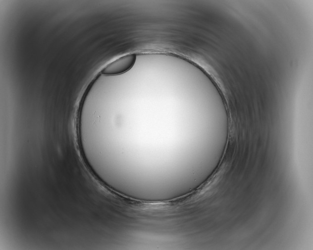 X0000088411486200706121405