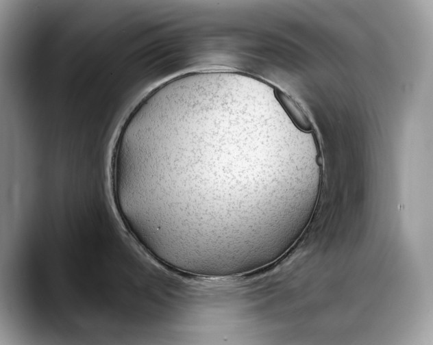 X0000088411488200706121405