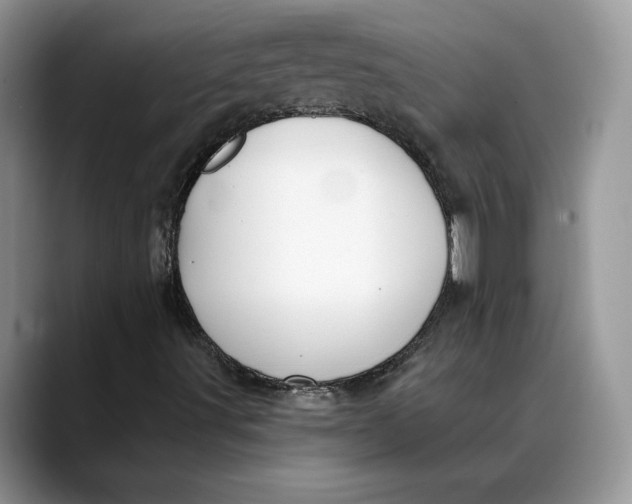 X0000088411491200706121404