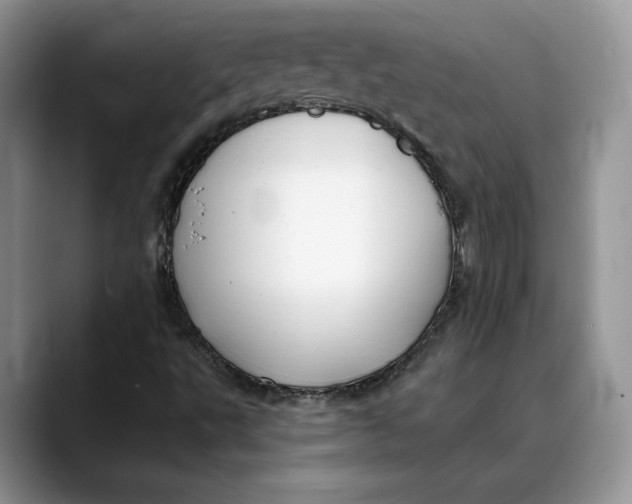 X0000088411495200706121404