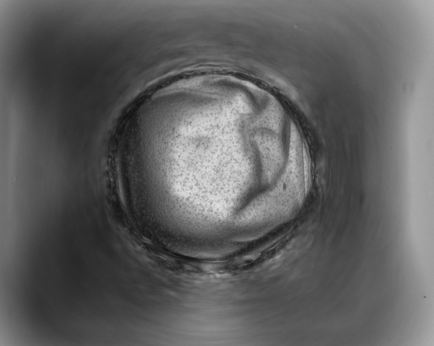 X0000088411496200706121404
