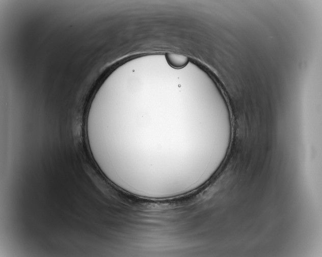 X0000088411499200706121404