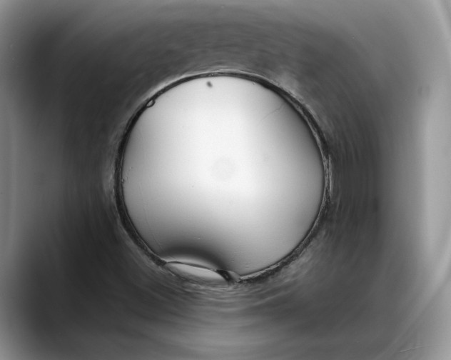 X0000088411500200706121404