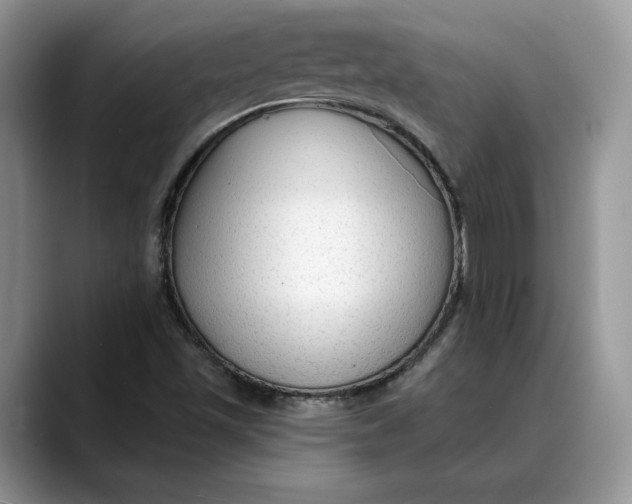 X0000088411501200706121404