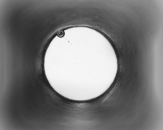 X0000088411502200706121404