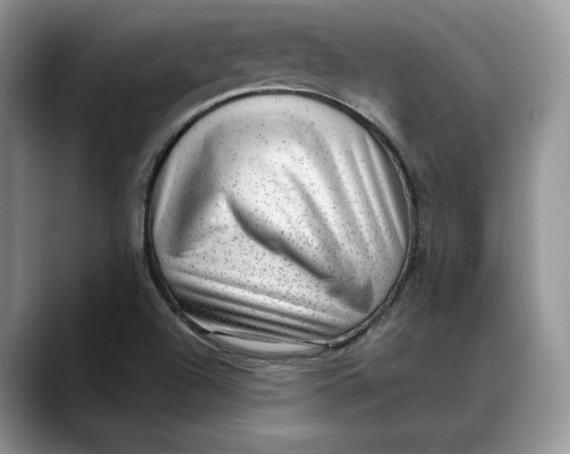 X0000088411504200706121405