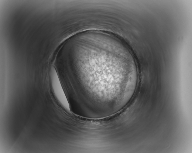 X0000088411505200706121405